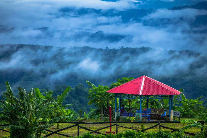 Read more about the article Sajek valley Tour